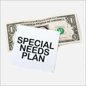 The Key Components Of A Comprehensive Special Needs Plan
